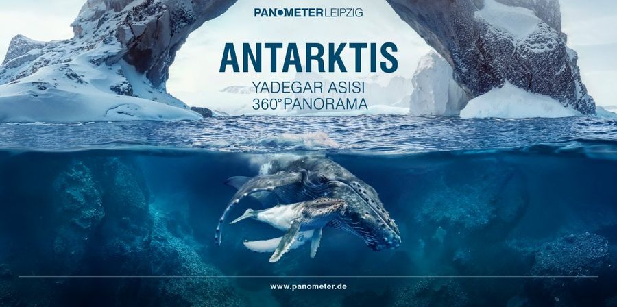 The keyvisual of ANTARCTICA shows two whales swimming in the ocean.