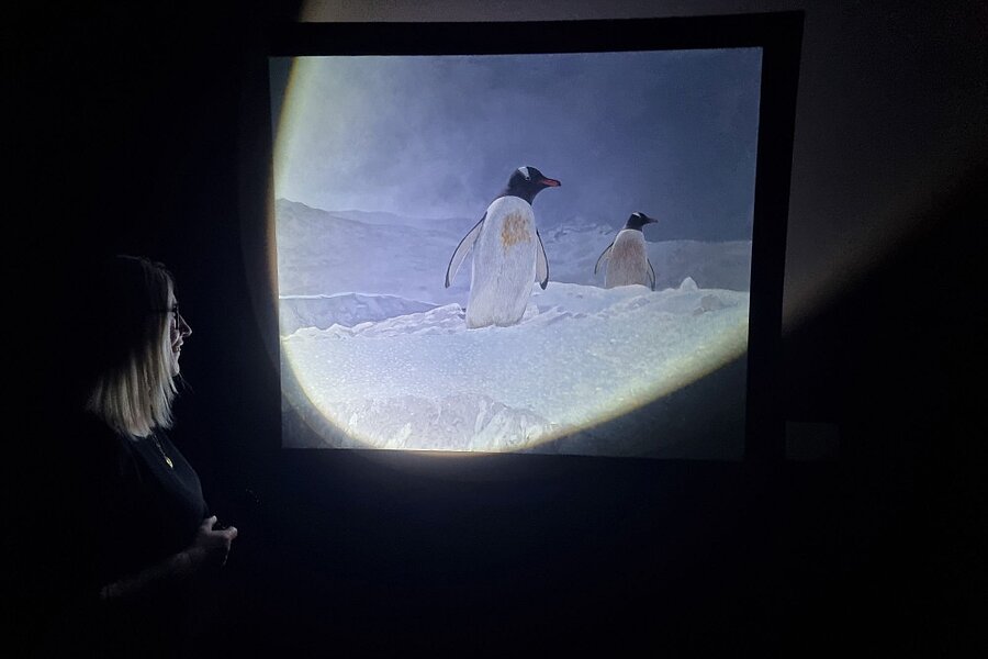 Frau mit Taschenlampe beleuchtet ein Kunstwerk mit 2 Pinguinen in der Ausstellung ANTARKTIS.